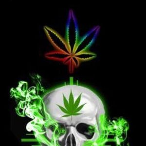 Meet your Posher, Tony